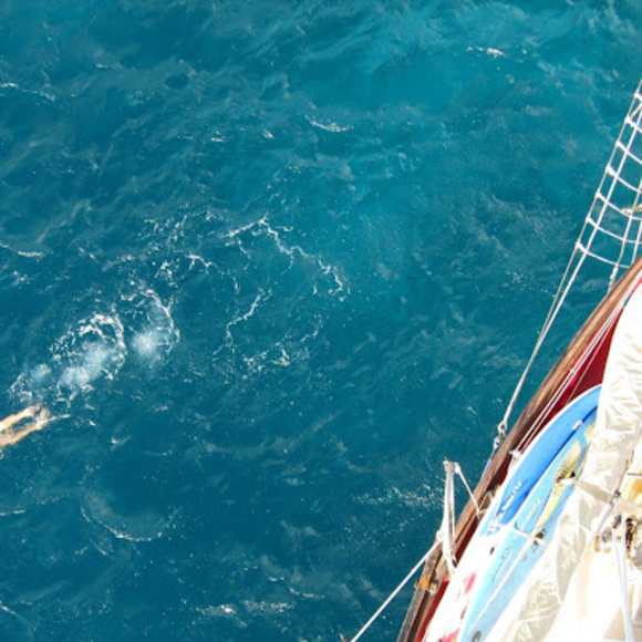 Meet your Posher, Annie - Picture 1 of 1